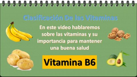 Clasificacion de vitaminas
